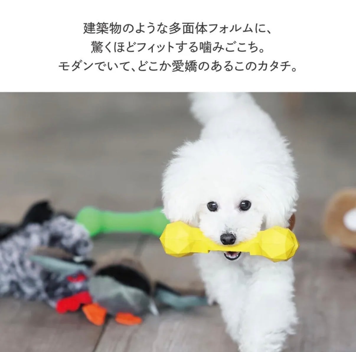 【PETOY】BONE BONE BONE（ボーン ボーン ボーン）見た目はカクカク、噛み心地はしっかりフィットするおもちゃ