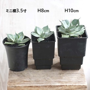 Meshpot HIGH 8cm ホワイト 4個セット