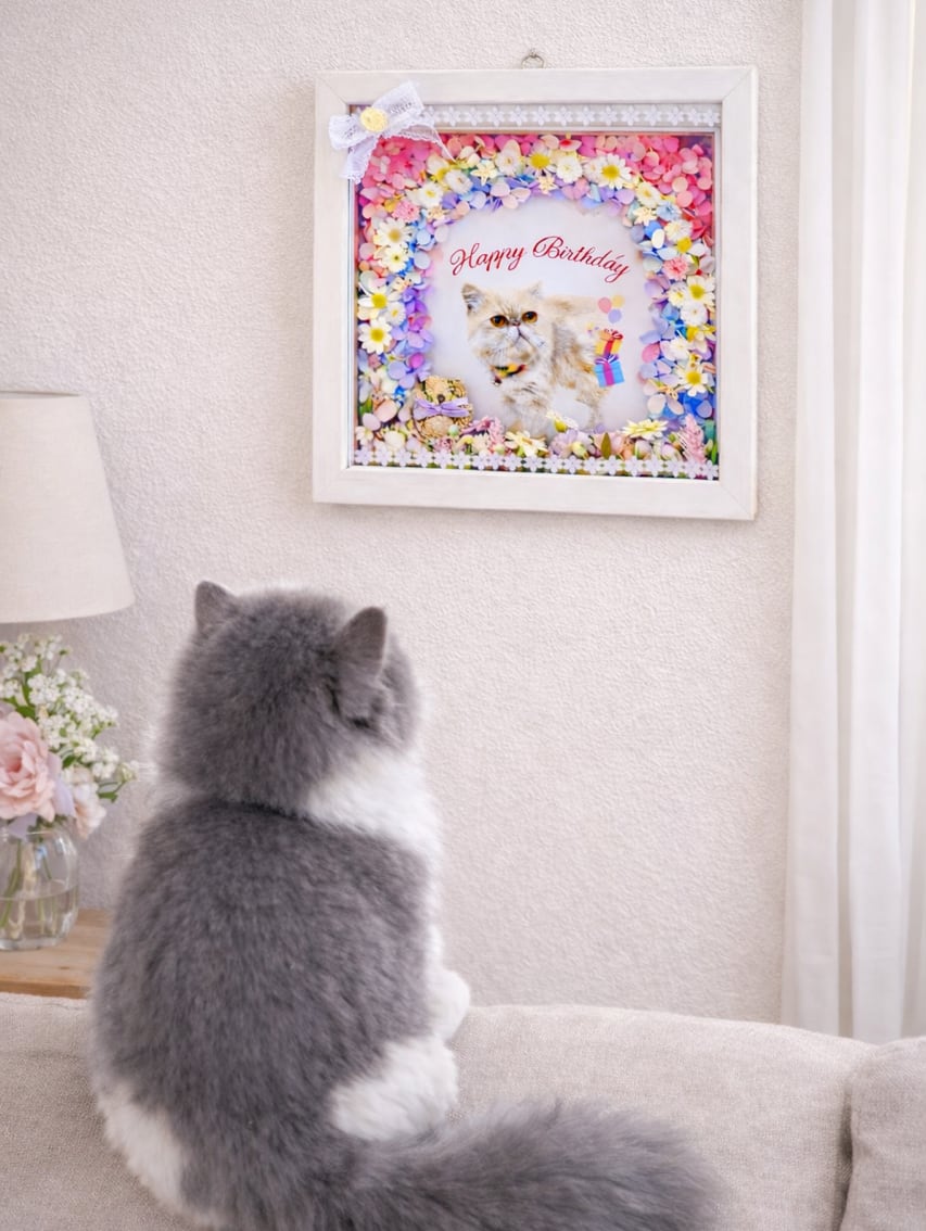 うちの子花束フラワーフレーム【PE-601】縦横21㎝│HappyBirthday｜ ペットちゃんお祝いフレーム｜ 木枠両面ガラスフレーム｜ 写真│メッセージ入り｜ バレンタイン│記念日│誕生日に