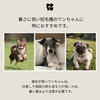 ※予約【puppygallery公式】Cool wave memory fom pet mat〔L〕