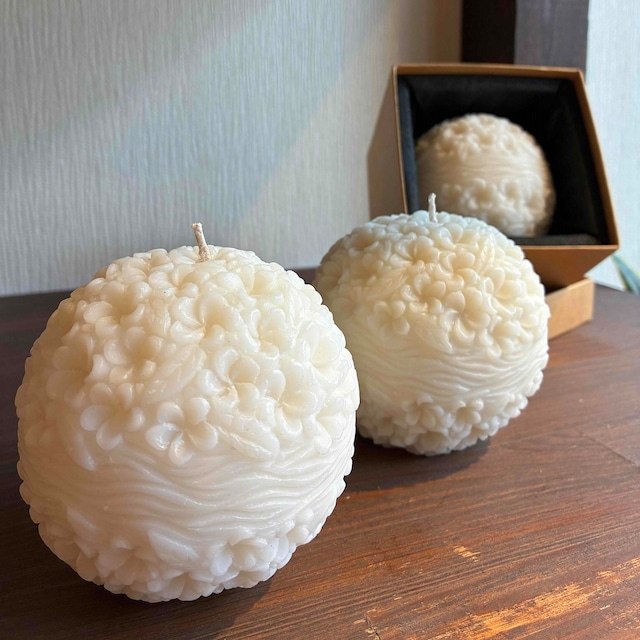 フランジパニフラワー Globular