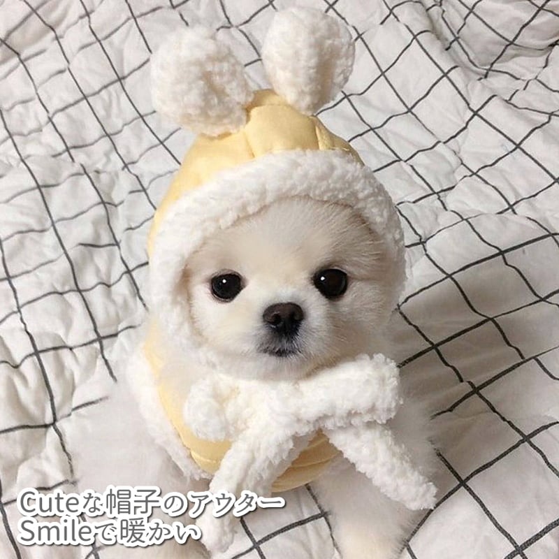 犬服ファッション通販 Little Dog ベース 小型犬服 ペット服 おしゃれ