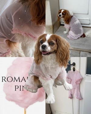 Sheer bijou rompers【Romantic Pink】