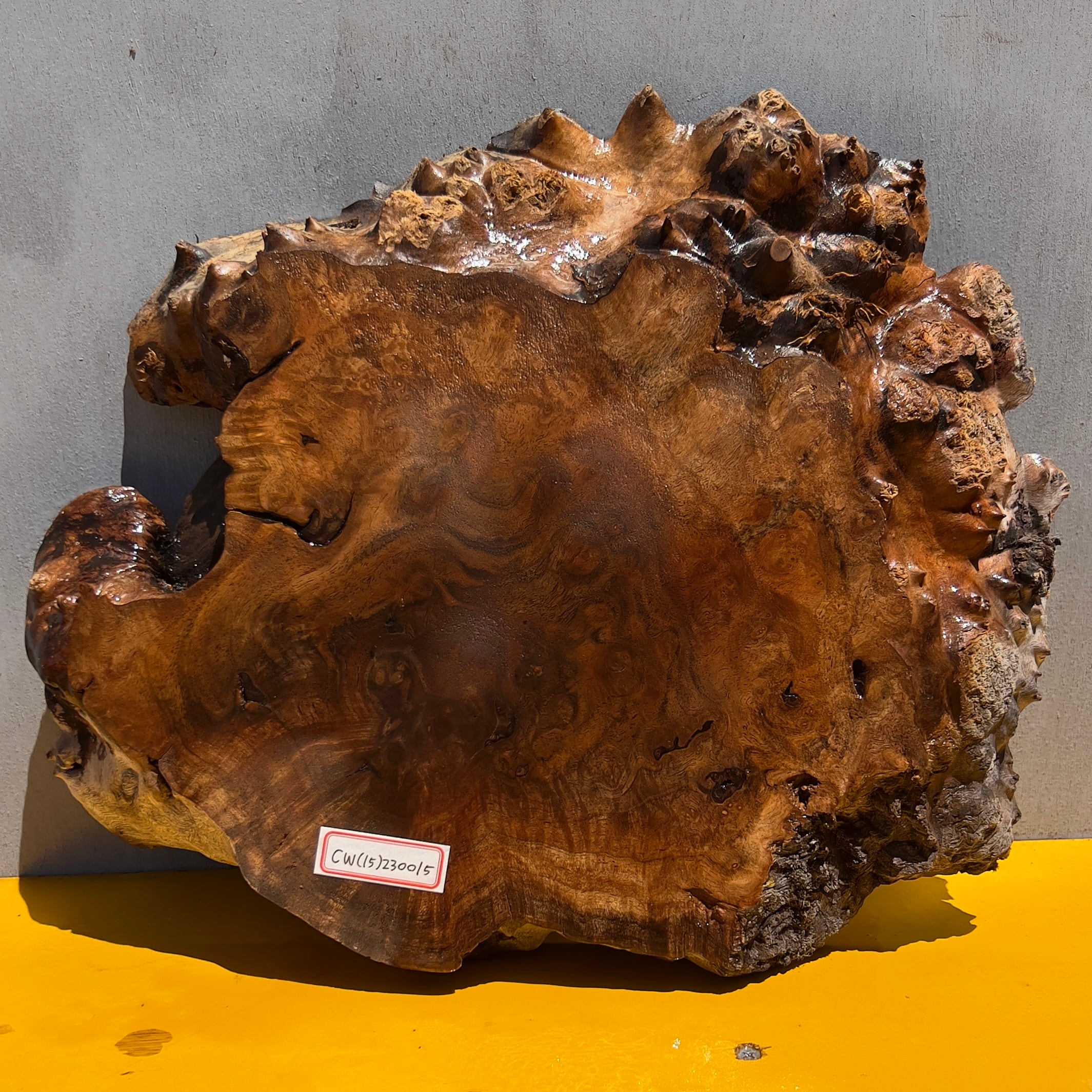 クラロウォールナット瘤希少材レジンサイドテーブル レジンサイド