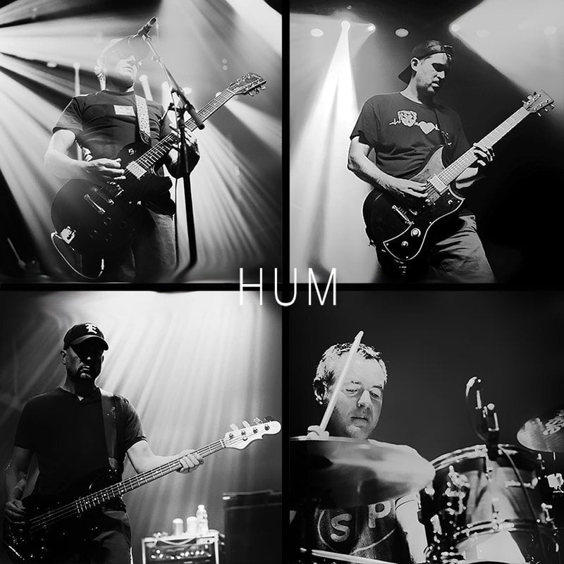 Hum / Inlet（2LP）