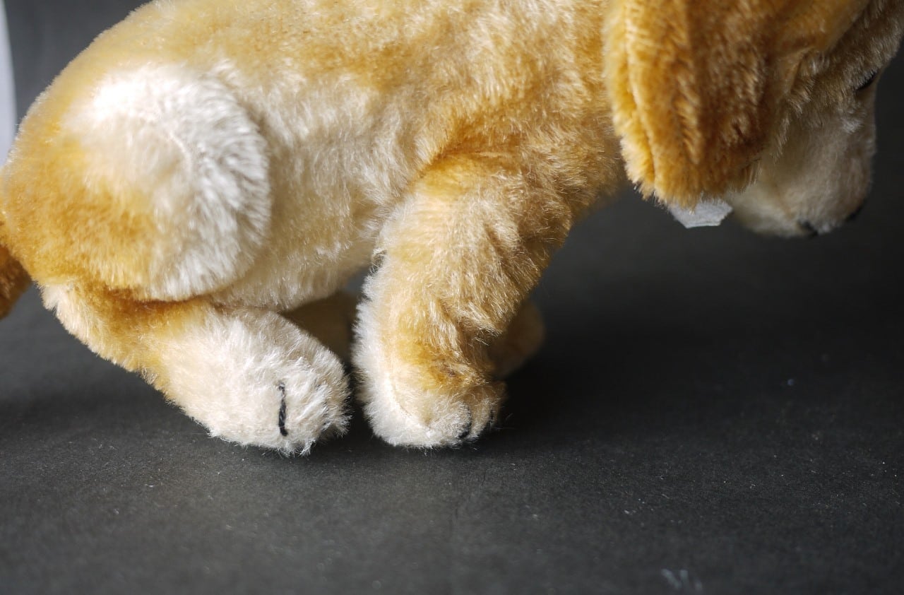 シュタイフ Bazi ダックスフント ドイツ STEIFF | こりすのパン屋Base