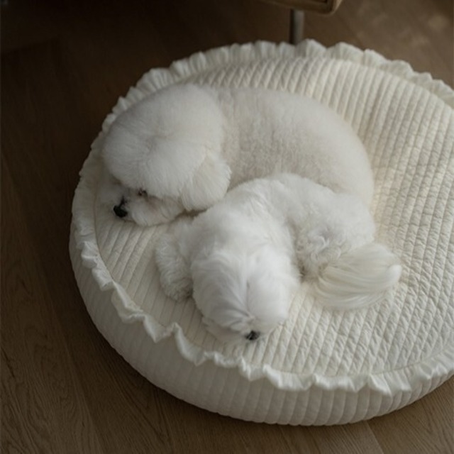【予約】［ mayjune ］100 count quilting may cushion（ アイボリーフリル ）