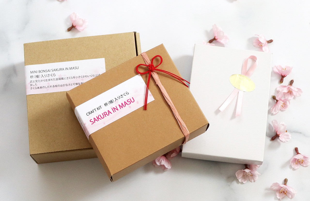 枡入り桜＜ミニ盆栽＞雅・MIYABI