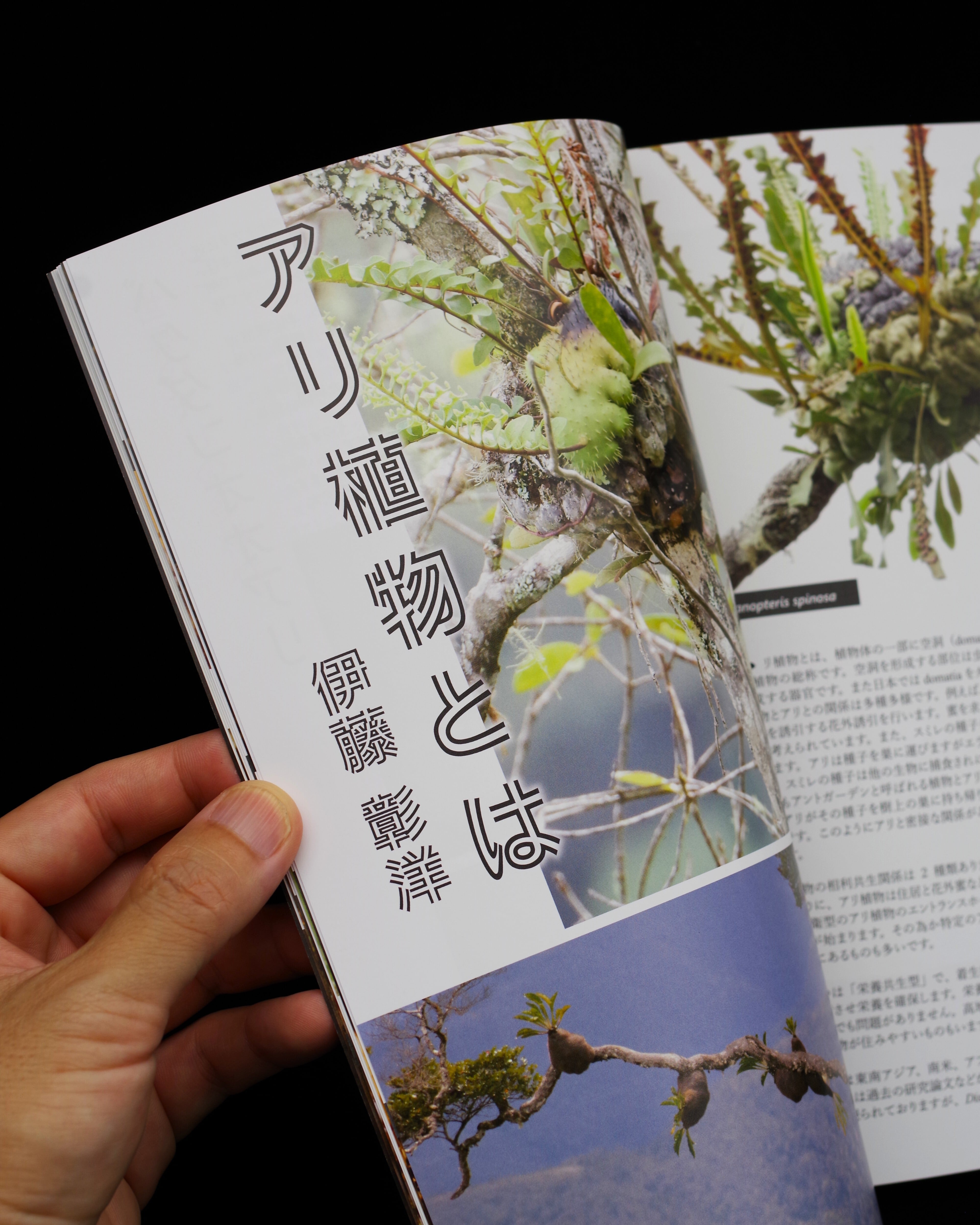 書籍 寄蟲 季刊007 | 伊藤蟻植物農園