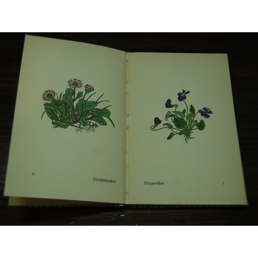 ドイツ古書 インゼル文庫 No.281 野の花 | days オフィス・デイズ