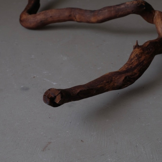 Branch