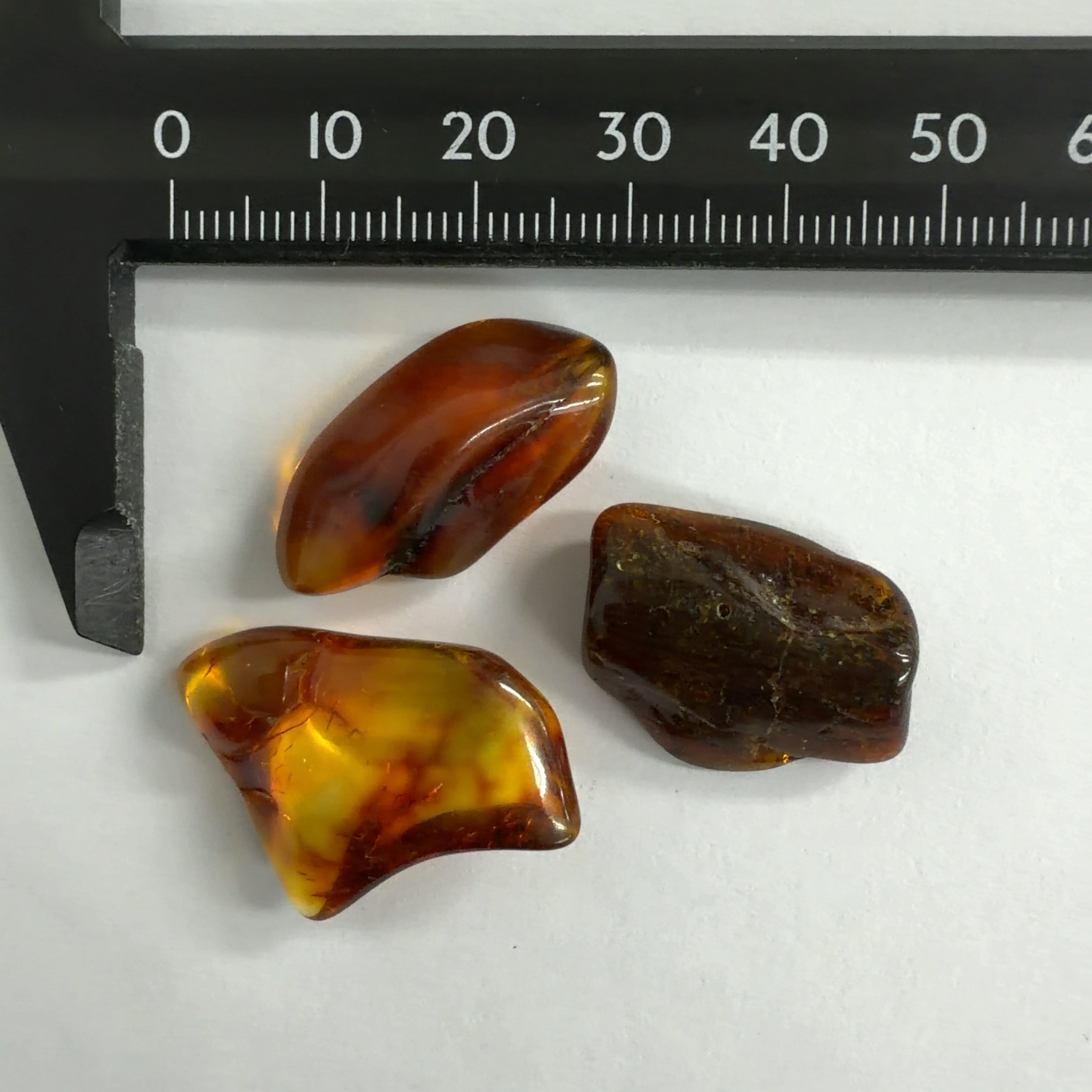 化石]琥珀・アンバー | クリスタル・ワールド御徒町店