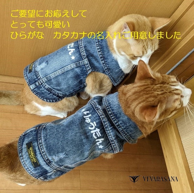 【ひらがな／カタカナ】 バージョン 人気の DOG＆CAT デニムウエア  【 名入れ 無料 】 送料無料 【売れ筋】 【当店オススメ】