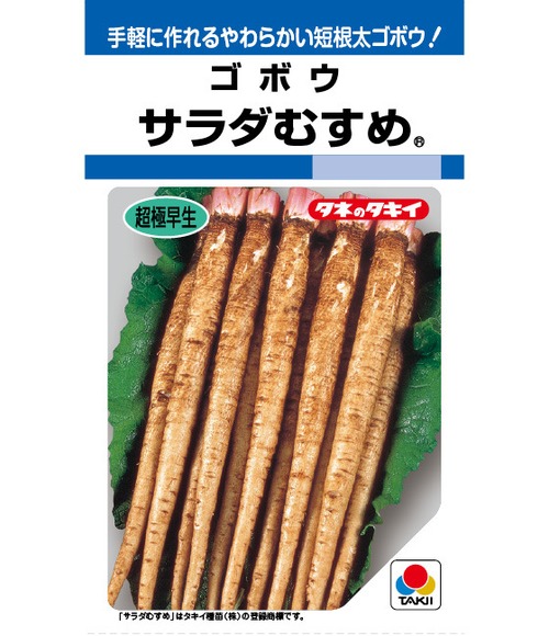 ゴボウ「サラダむすめ」（１DL） 画像