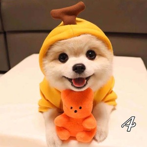 【PET】9色展開面白いフードパーカー