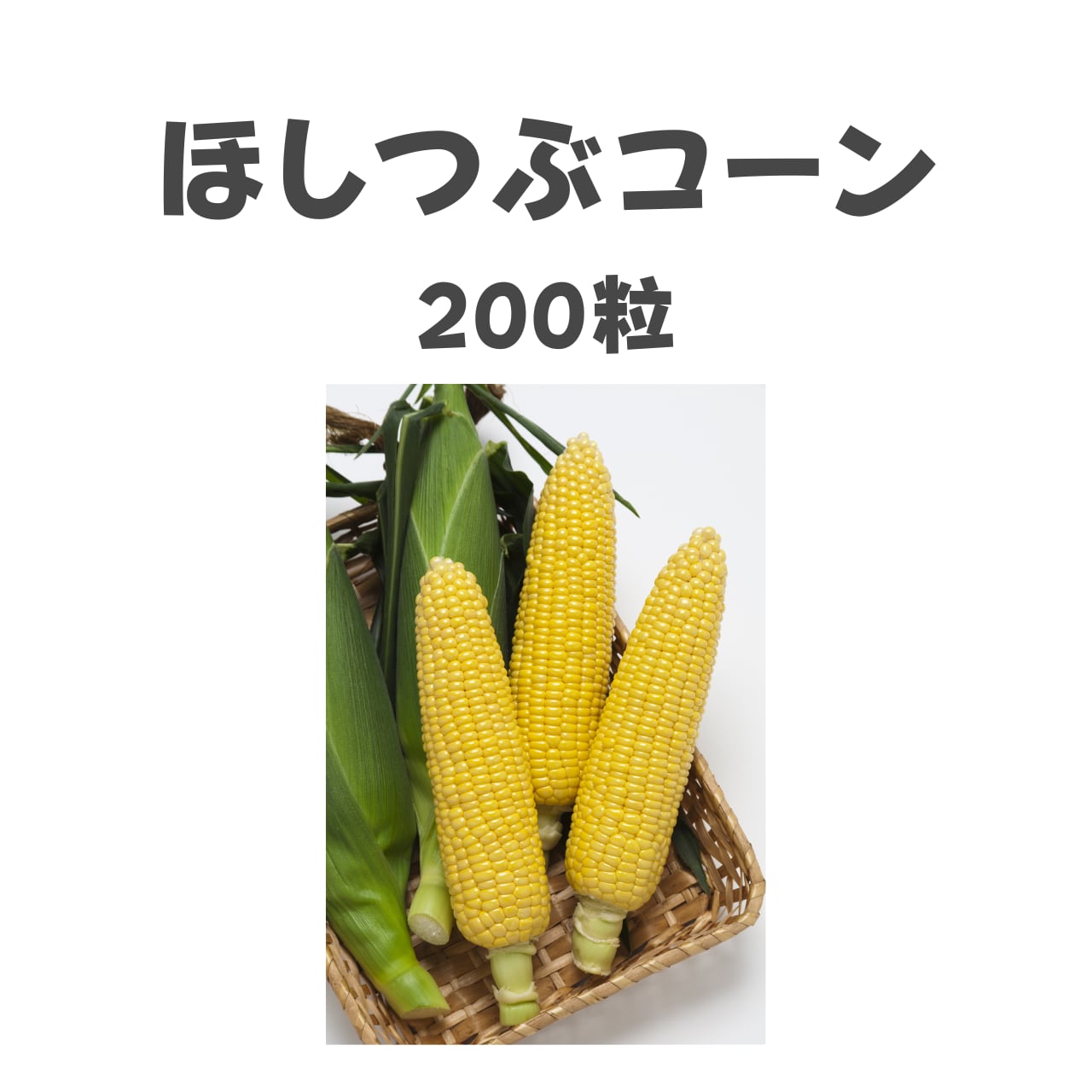 ほしつぶコーン トウモロコシ種子・200粒