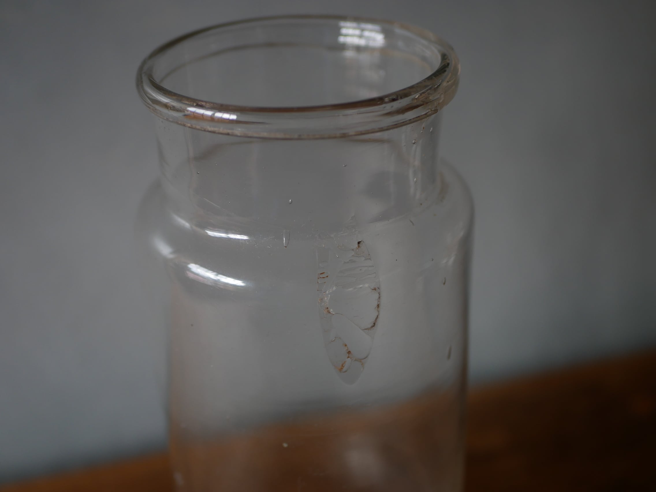 吹きガラス フラワーベース grand フランスアンティーク | フランス