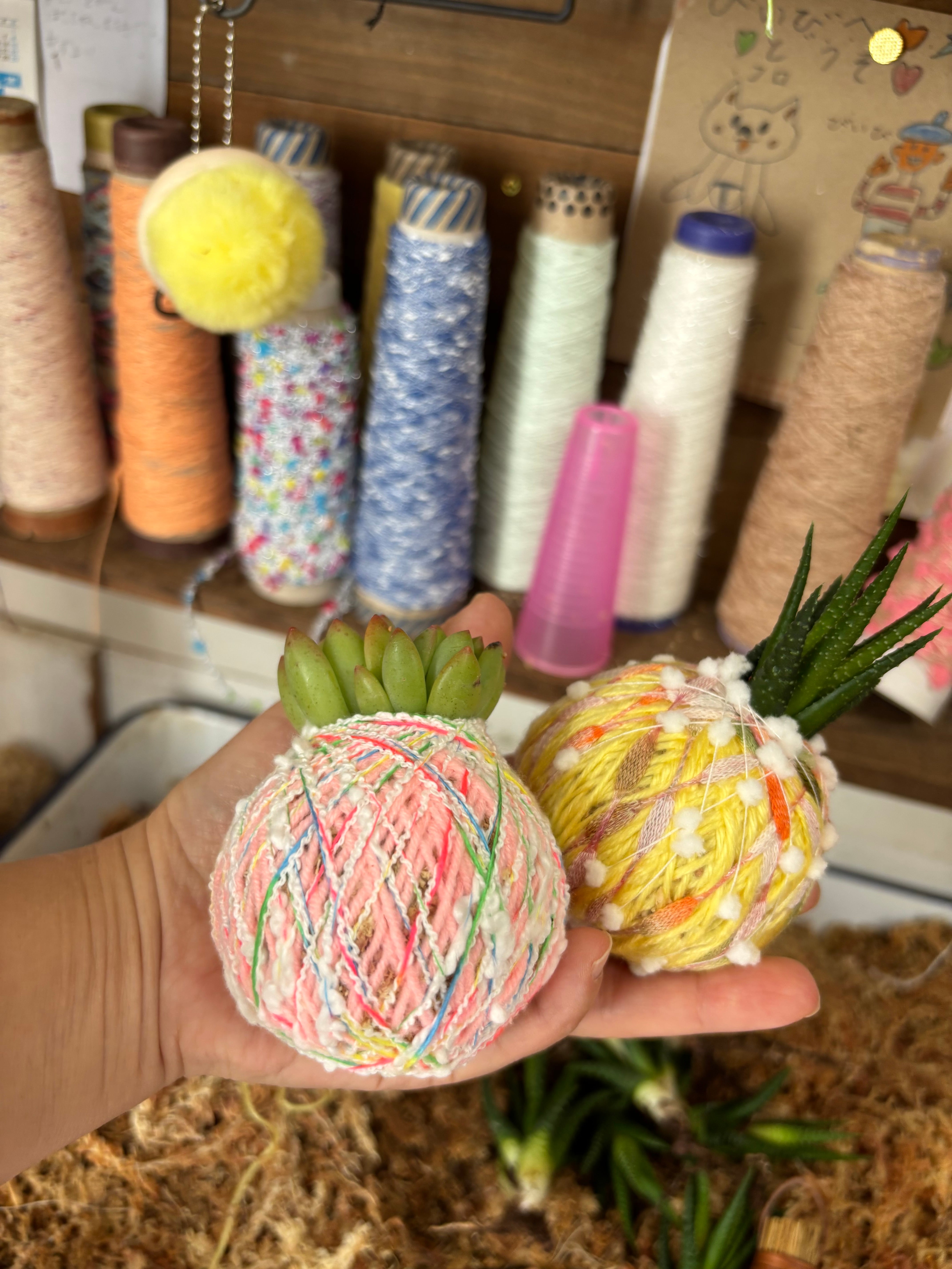 カンキチ工房 オンラインショップ//植物を枯らしてしまう店主が