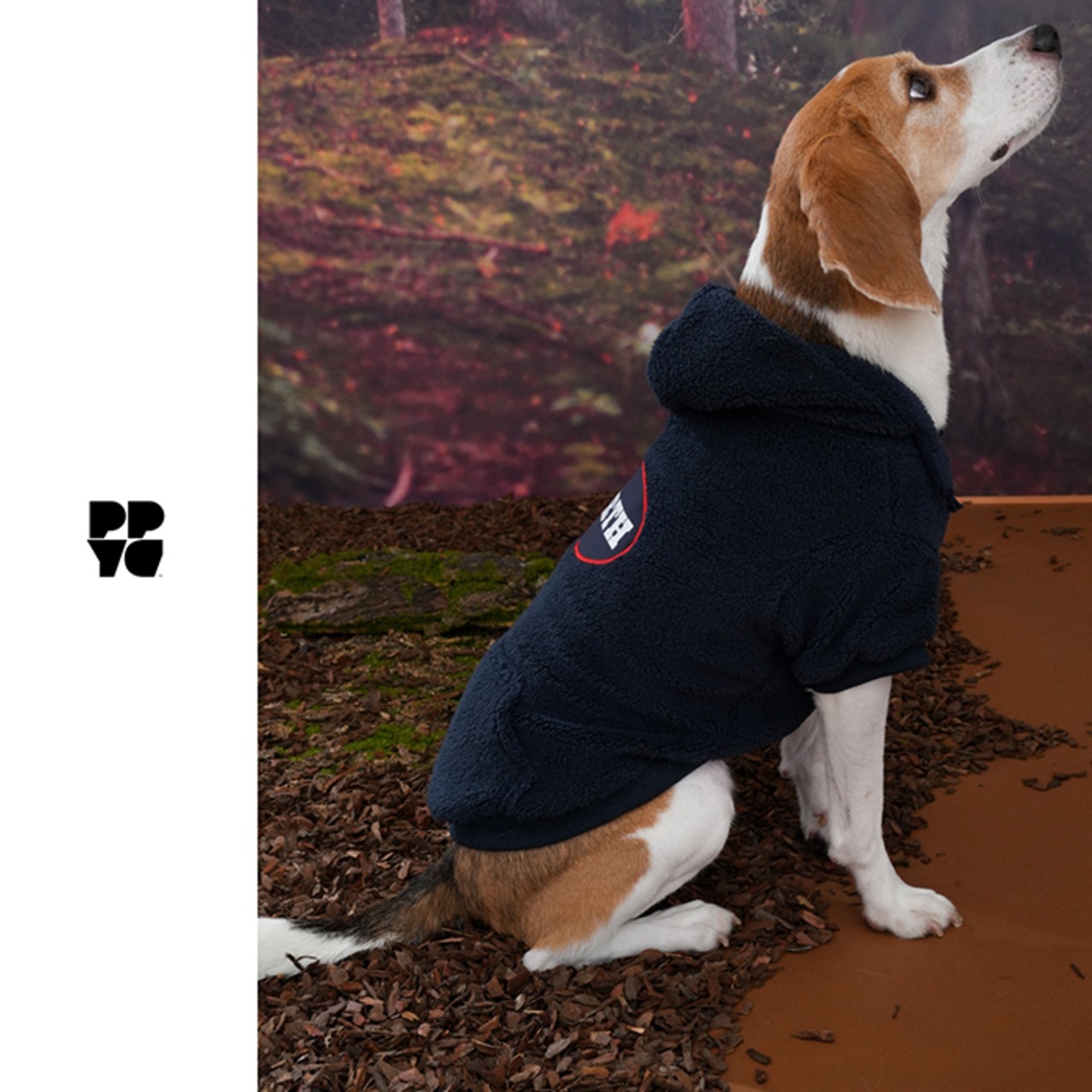 〈PUPPYGALLERY公式〉アースフ−ディー　2XL-3XL