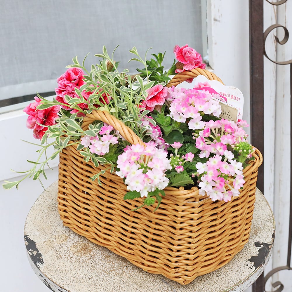 季節の花 寄せ植え おまかせ バスケット スクエア natural/brown