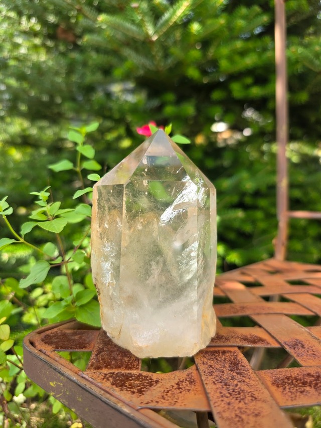 スモーキー×グリーンファントム｜秘めた森影、澄むこころ