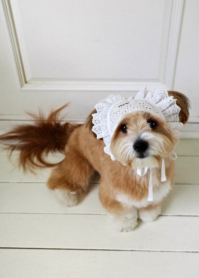 〈 即納アイテム 〉OHDIBS / Manon Kerchief(マノン・カーチフ)