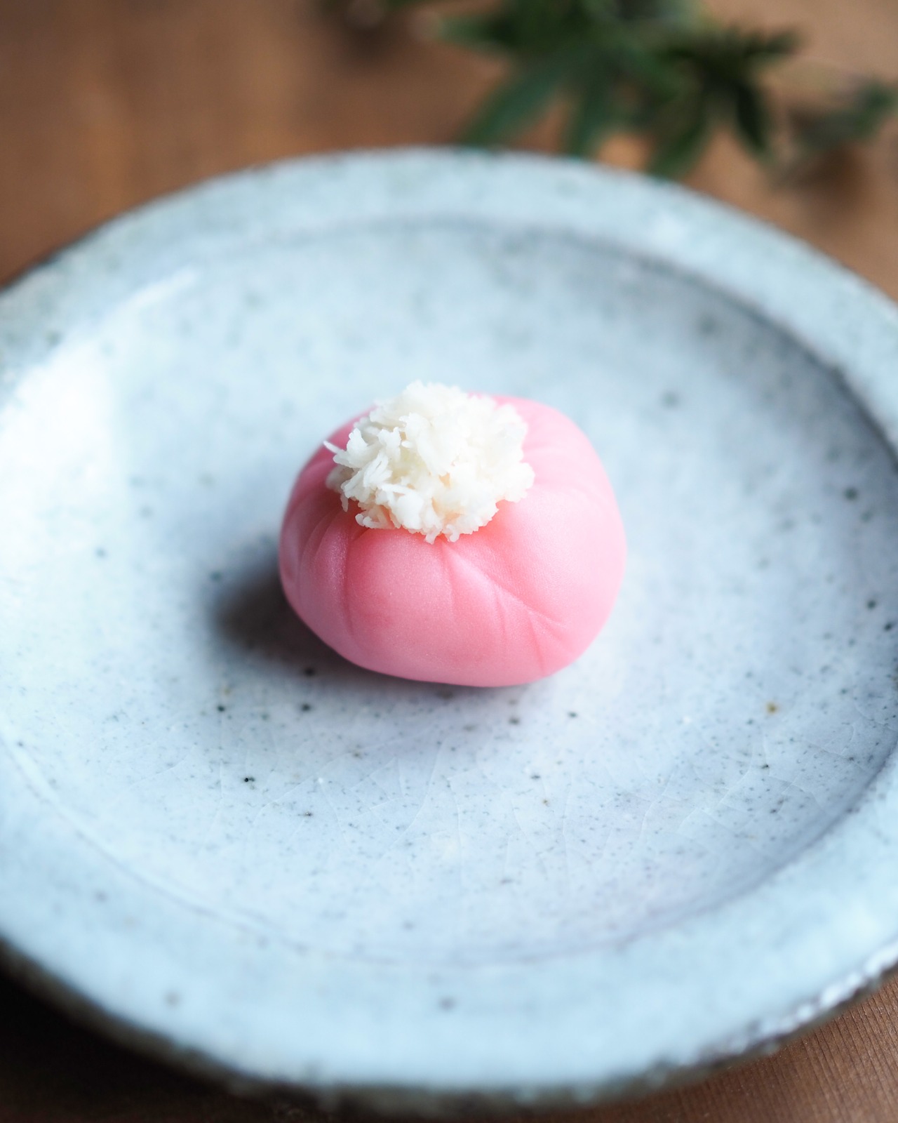 【9/9（金）店頭受取】上生菓子「着せ綿」