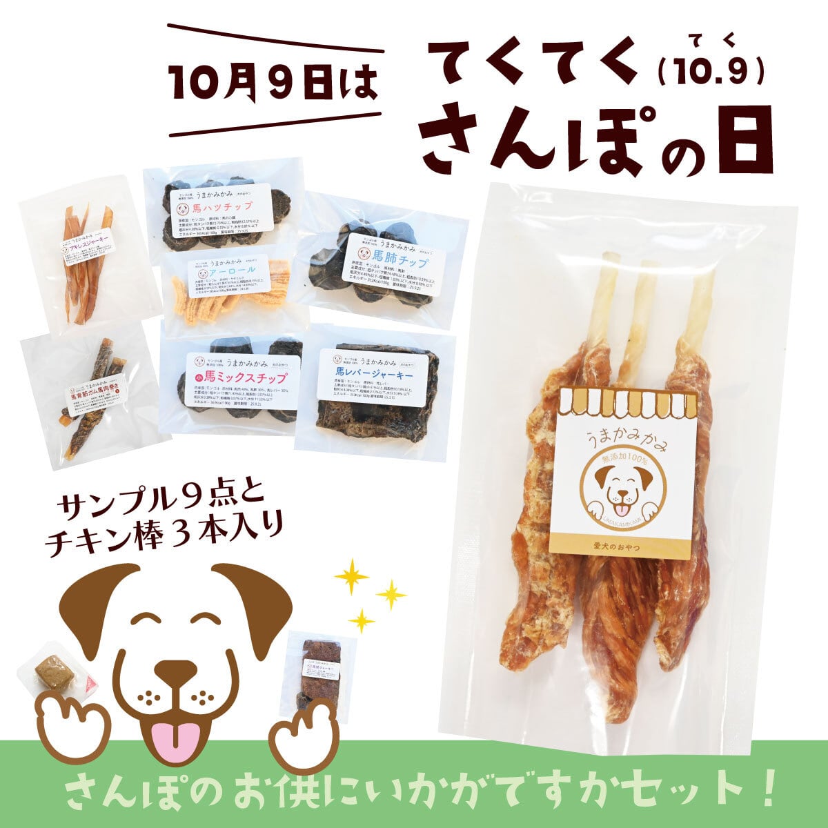 【散歩の日セット】サンプル9点とチキン棒3本(ポスト投函送料無料)