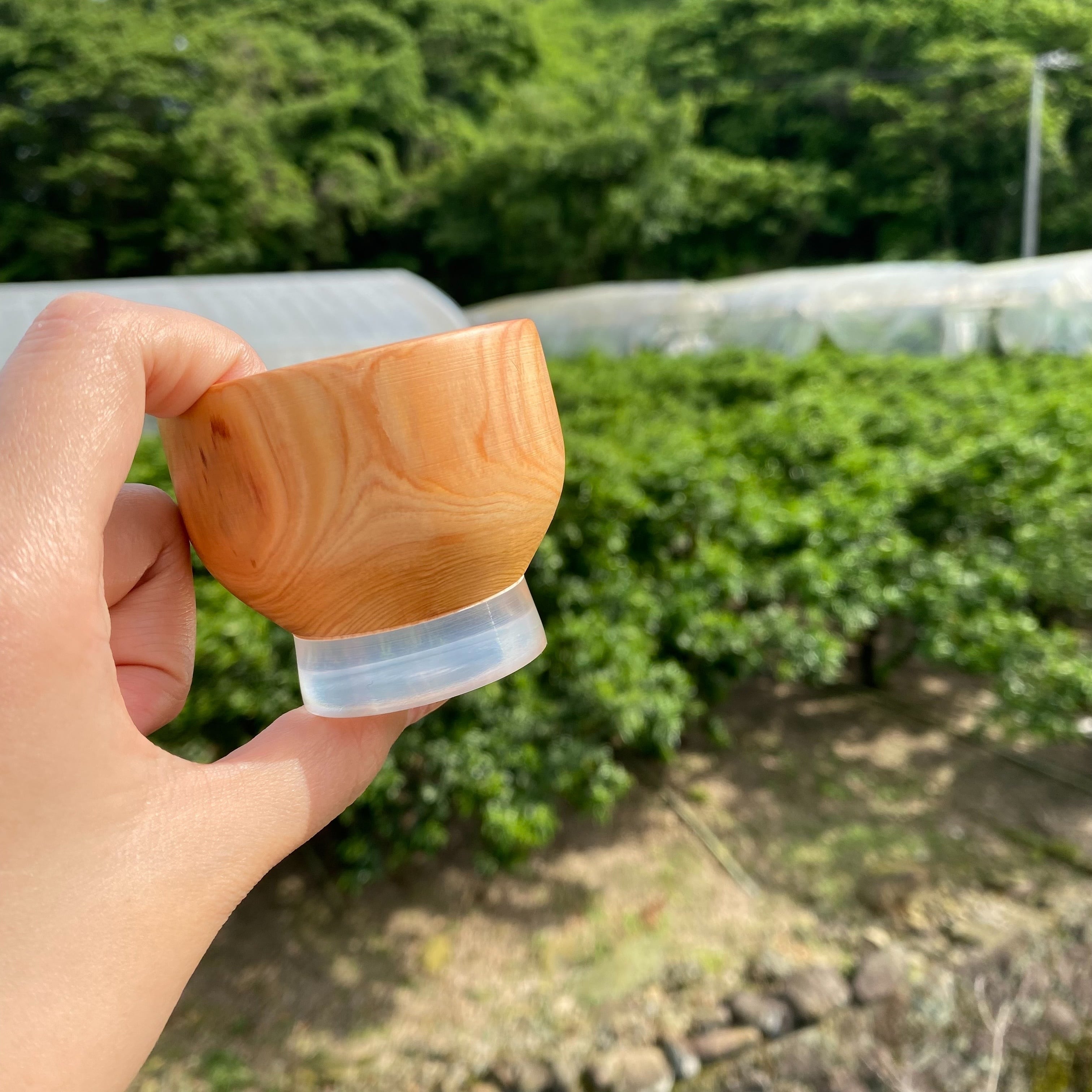 年輪が美しい 樹齢100年ひのきの光を通すお猪口 | mocco