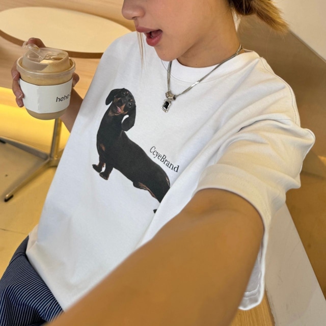 ダックスグラフィックプリンロゴTシャツ R00614