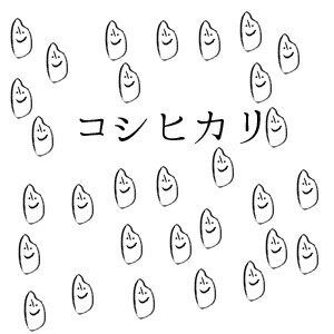 お得なまとめ買い 自然栽培の石川県産コシヒカリ 玄米30kg 2025年