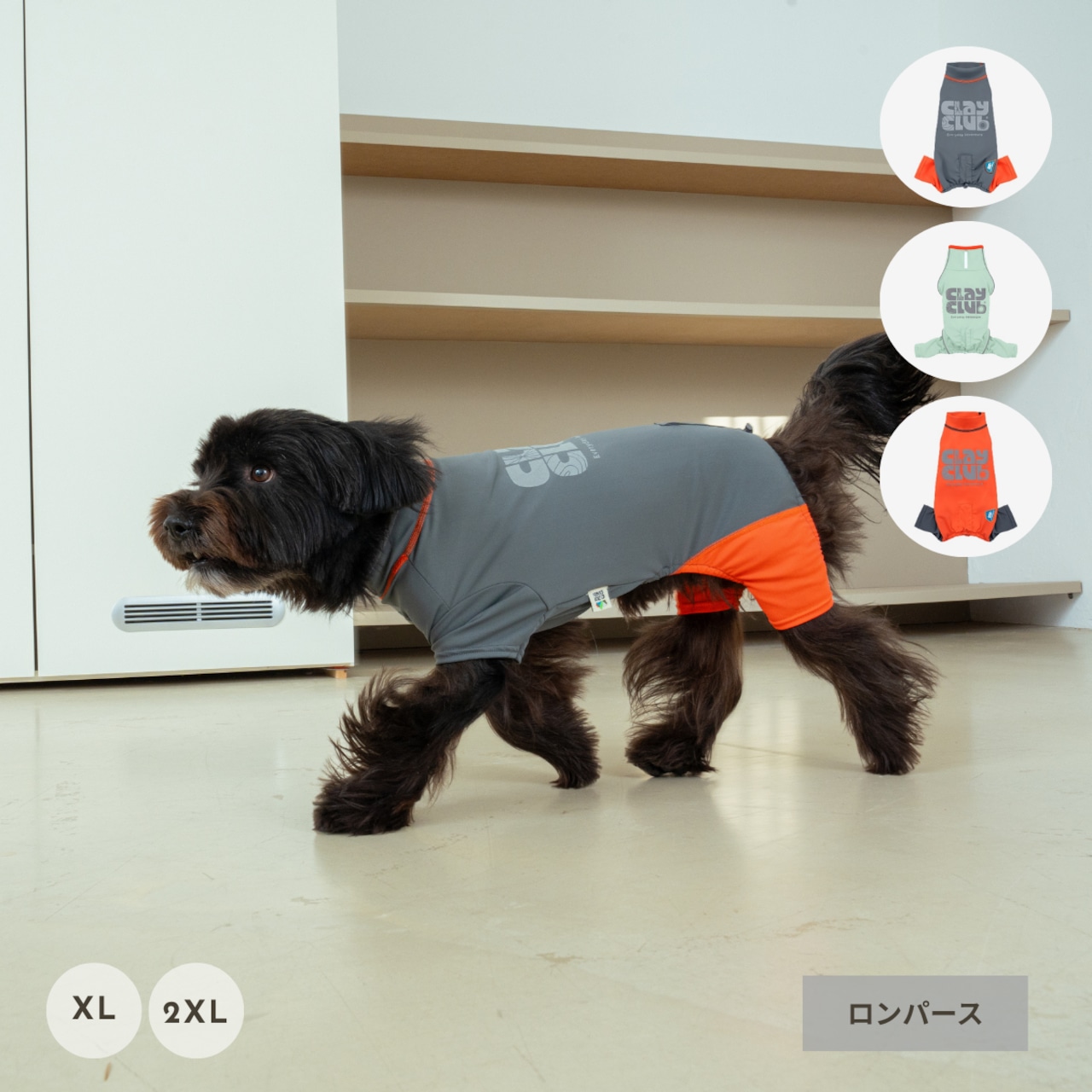 【puppygallery公式】Essential Training Suit (Short ) XL-2XL
