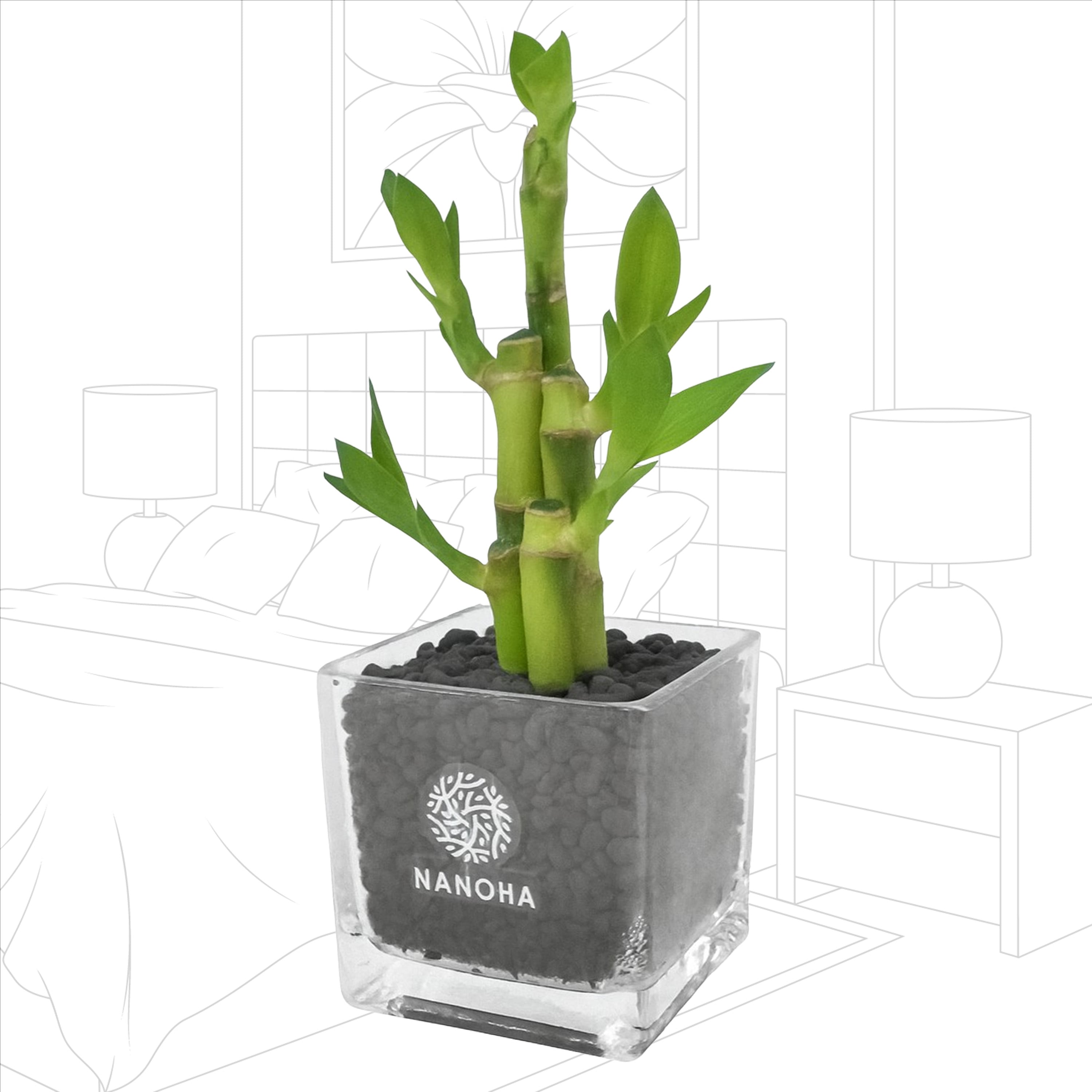 Swarovski ミリオンバンブー 509b67d3769e24e391916de029cdab