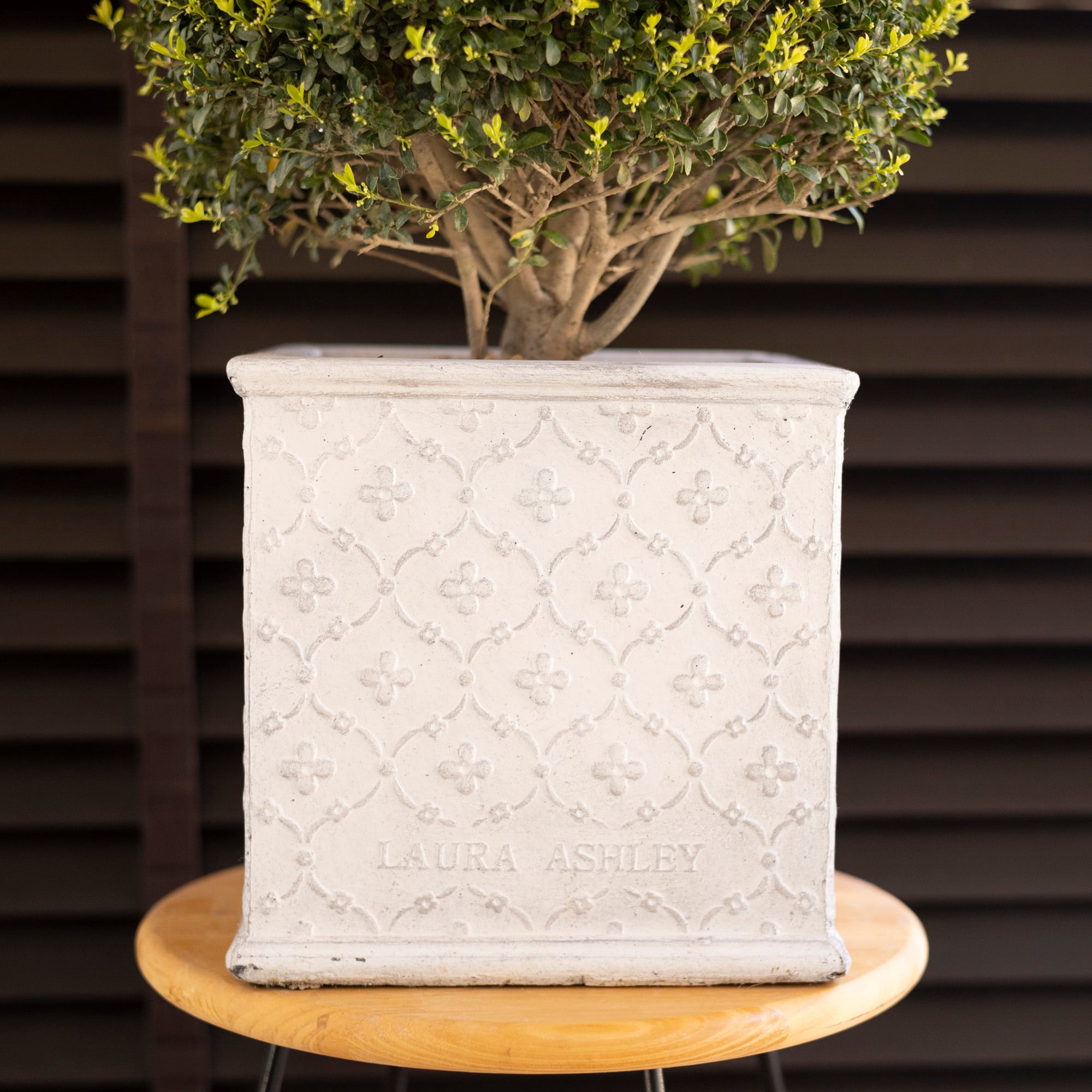 Laura Asyleyローラアシュレイキューブライト ガーデニング22cm 鉢