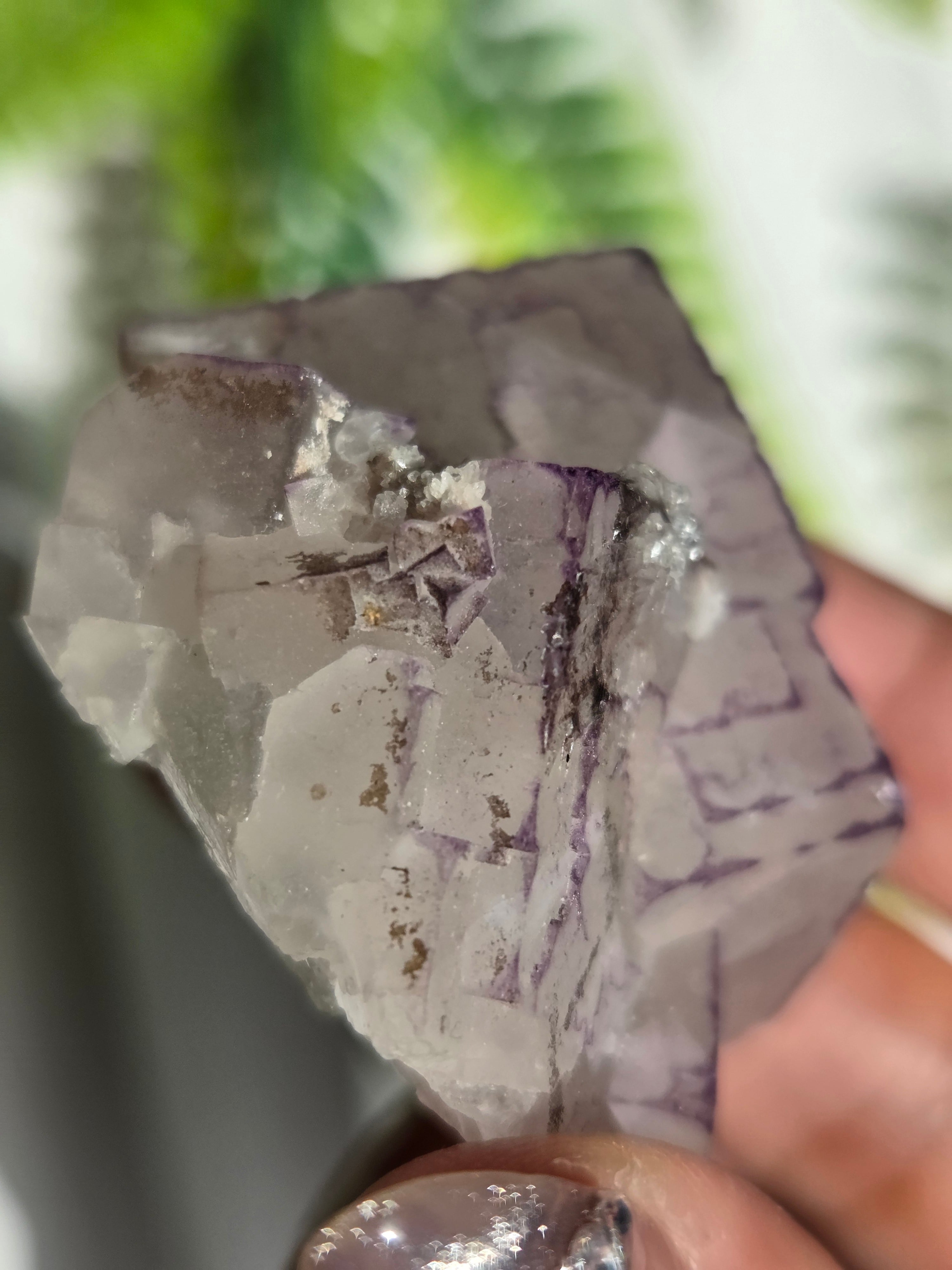 中国貴州省産 QRコードフローライト | Pay ID