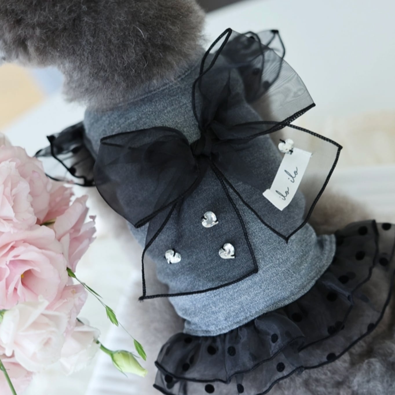 M.L/即納【iloilo】Bigbow Cool T/s - Charcoal