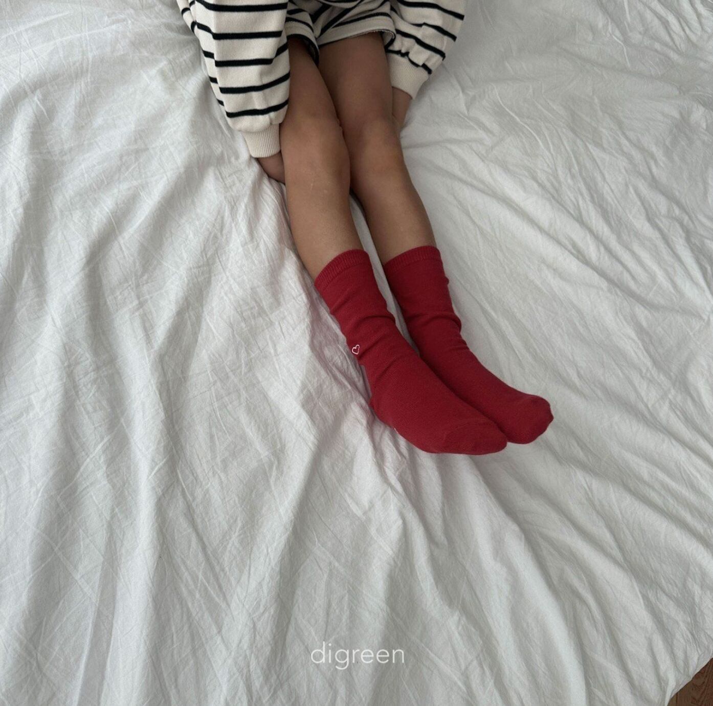 〘予約〙digreen / socks_heart