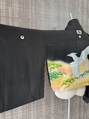 Short jacket 634
