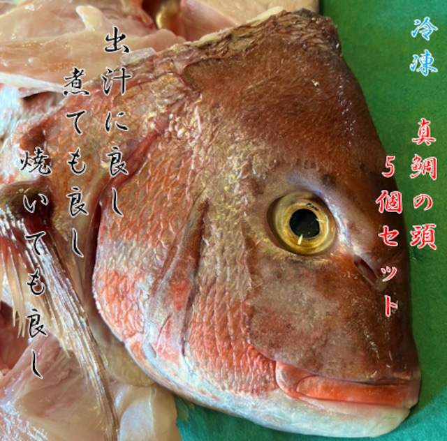 【冷凍】養殖真鯛の頭5個セット