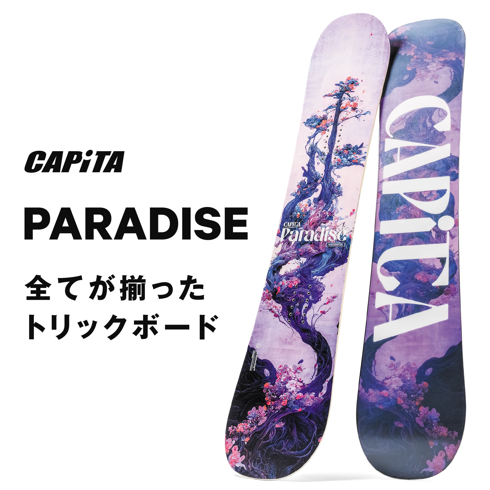 Capita Snowboarding 2024-2025 『 Paradise 』 キャピタ アウター  