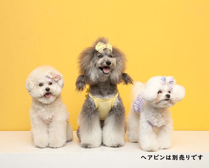 【SALE】 Rollin croptop S ~ 2XL 6color / 犬の服 犬服 新作 ショート丈 お揃い クロップドトップス 小型犬 中型犬 ペット洋服 ドッグウェア ペット用品 b37