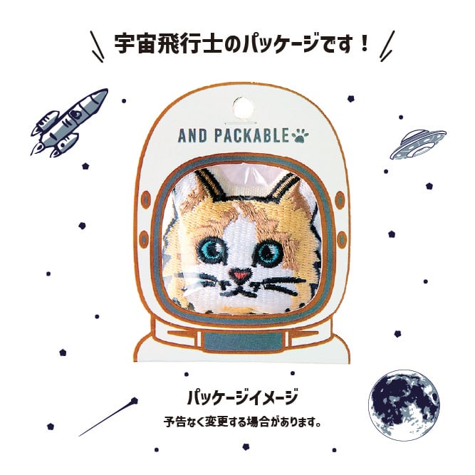 マグネット ネコ クロネコ (4573619383575) | AND PACKABLE