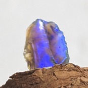 【917】ブラックオパール オーストラリア産 0.59ct