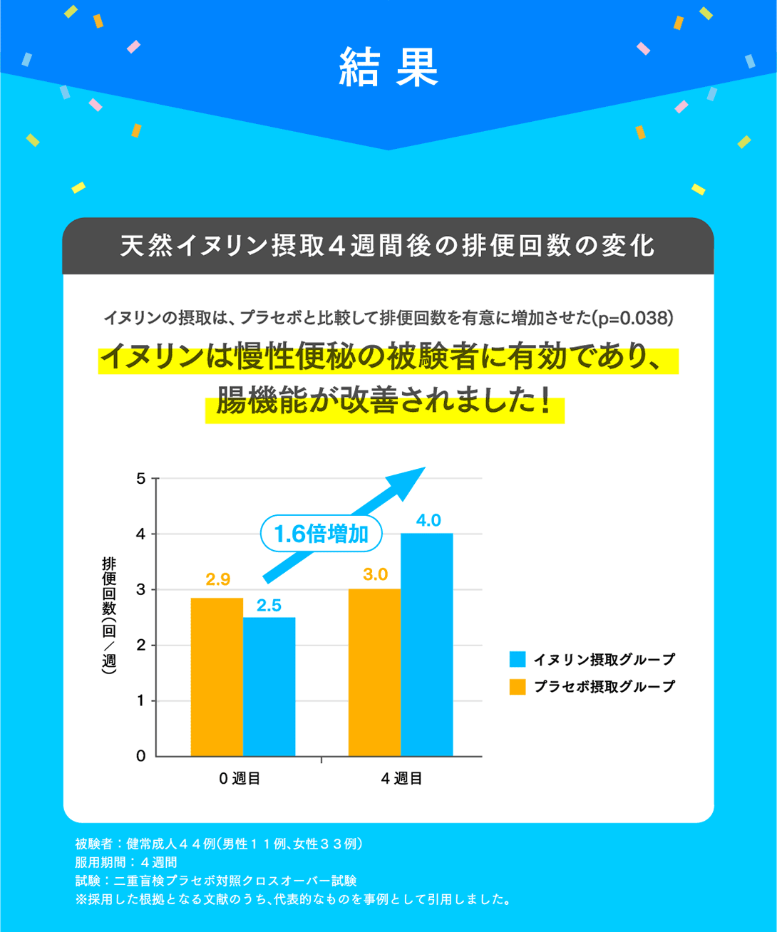 母の日ギフト【機能性表示食品】菊芋の極み 単品2袋