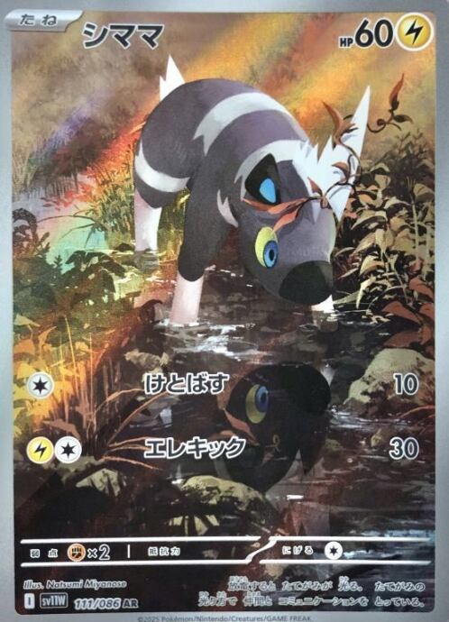 【Bランク】シママ(AR)