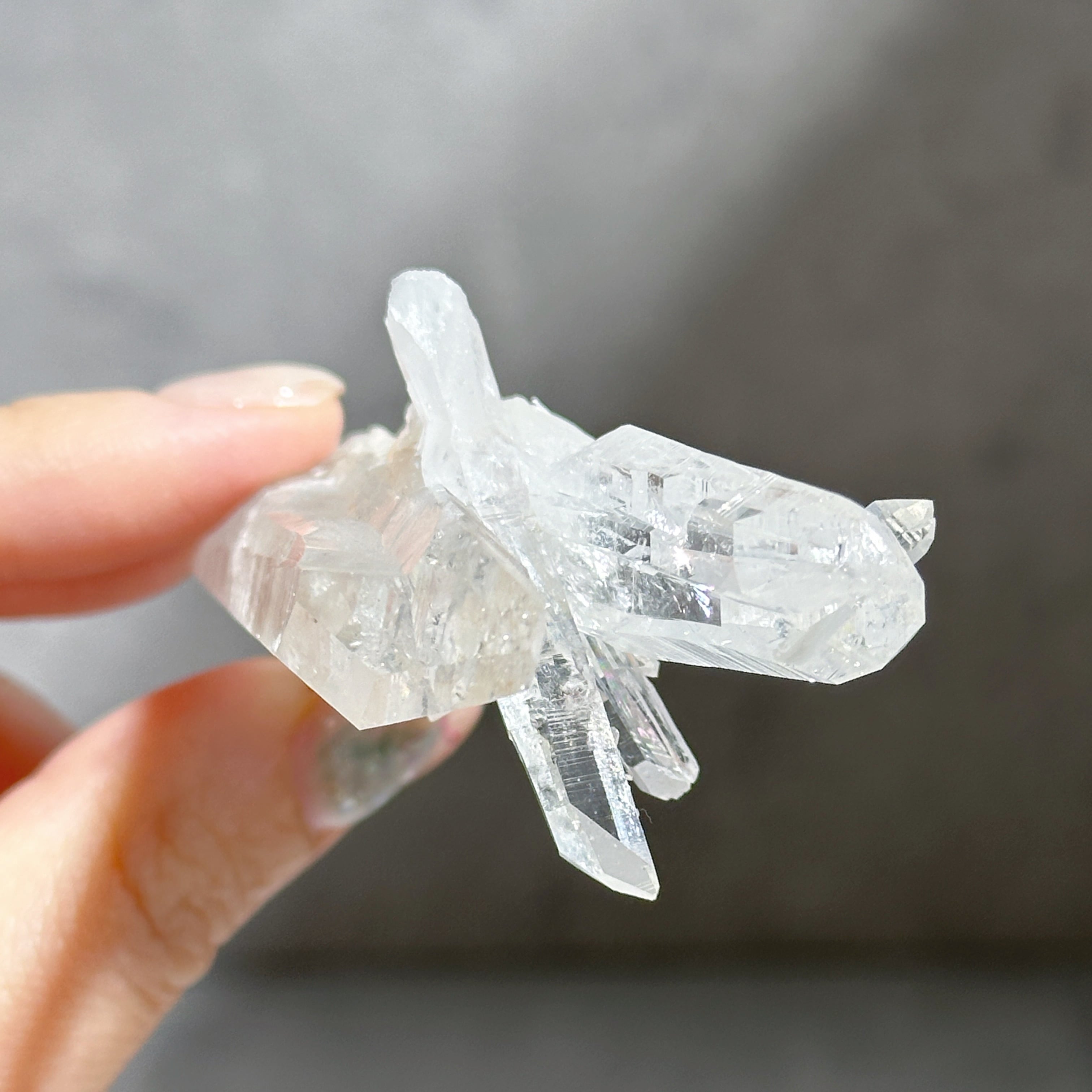 コロンビアンレムリアンクォーツ クラスター12◇Colombian Lemurian