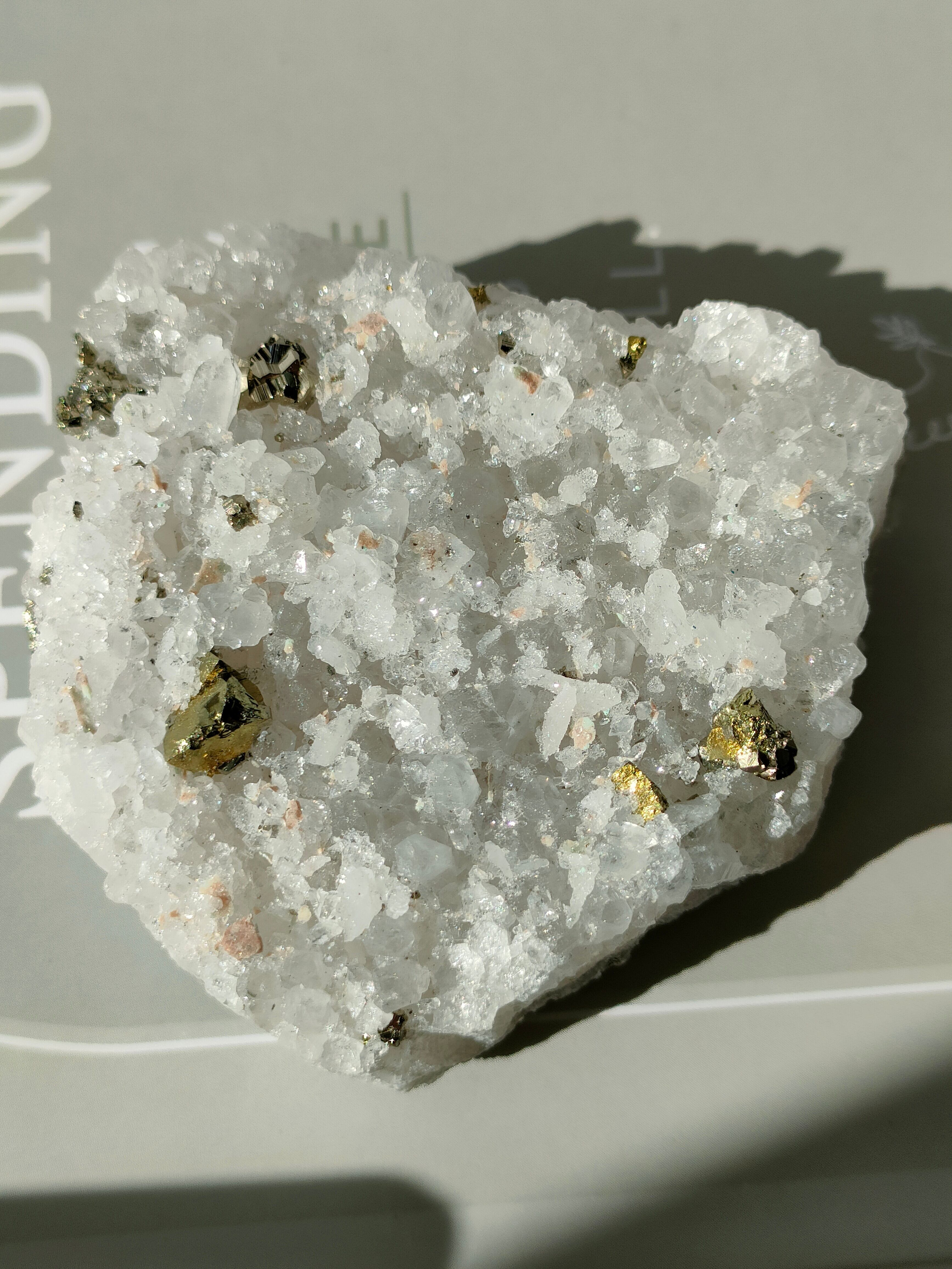 チャルコパイライト共生クラスター