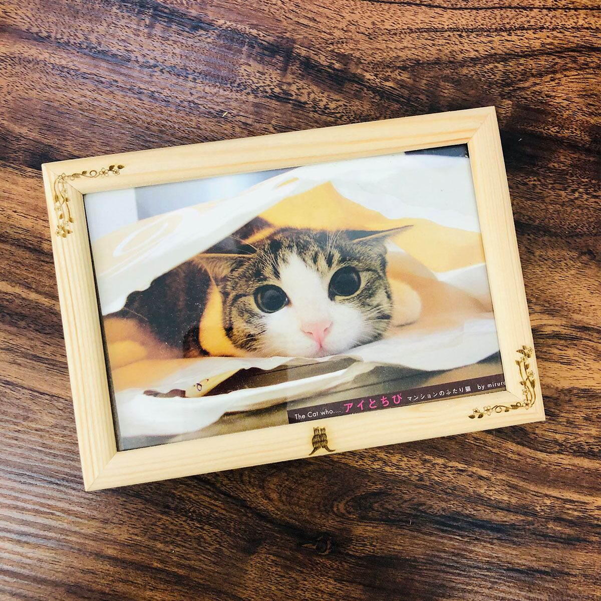現品限り 木製フォトフレーム ポストカード サイズ 額縁のみ 横17x縦12センチ Cm 額縁 額 写真立て 葉書 はがき ハガキ 猫 ねこ ネコ オリジナル Aigerrypf01l The Cat Who 猫雑貨商品 長崎の変 猫キャラグッズ等を販売