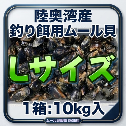 ■1箱：10kg入り【釣り餌用 ムール貝】Lサイズ商品
