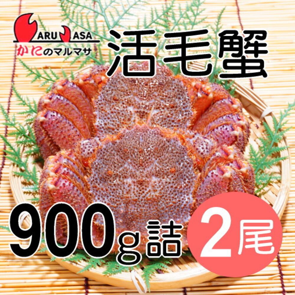 活毛ガニ500g　かにのマルマサ】北海道産　1尾セット-